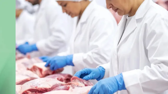 1 ATIS BLOG Performa Industrie Viande